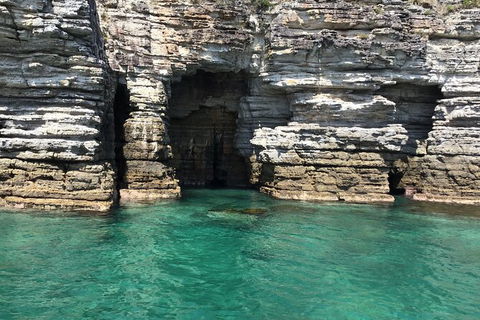 Jervis Bay Passage Tour - Accommodation Newcastle 13