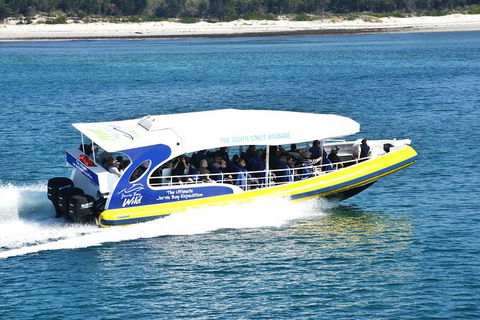 Jervis Bay Passage Tour - Accommodation Newcastle 11