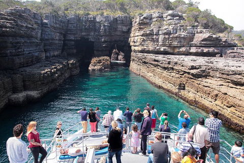 Jervis Bay Passage Tour - Accommodation Newcastle 3
