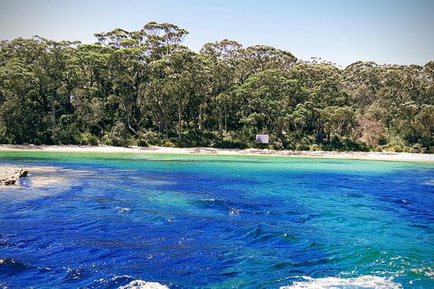 Jervis Bay Passage Tour - Accommodation Newcastle 6