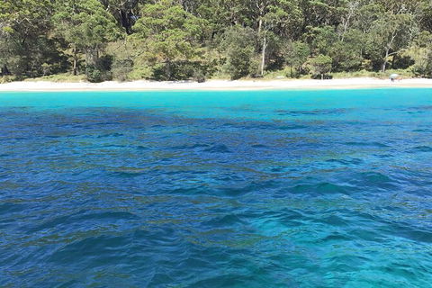 Jervis Bay Passage Tour - Accommodation Newcastle 5