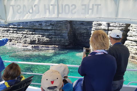 Jervis Bay Passage Tour - Accommodation Newcastle 7