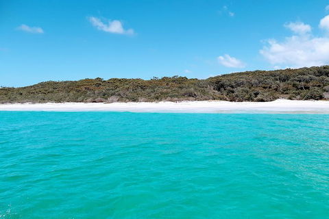 Jervis Bay Passage Tour - Accommodation Newcastle 10