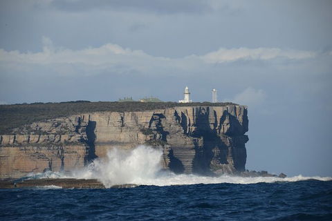 Jervis Bay Passage Tour - Accommodation Newcastle 8