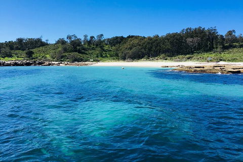 Jervis Bay Passage Tour - Accommodation Newcastle 2