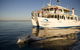 Jervis Bay Dolphin Watch Cruise - thumb 0