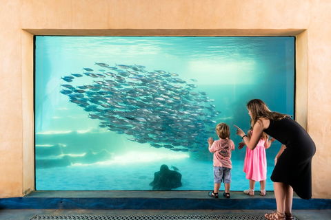 AQWA The Aquarium Of Western Australia - Accommodation Newcastle 0