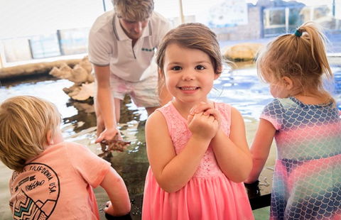 AQWA The Aquarium Of Western Australia - Accommodation Newcastle 2