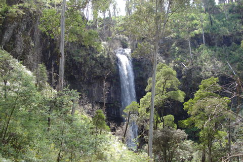 Bindaree Falls - Accommodation Newcastle 0