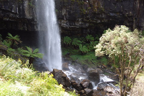 Bindaree Falls - Accommodation Newcastle 1
