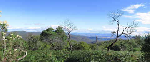 Blue Range Camping And Picnic Area - Accommodation Newcastle 0