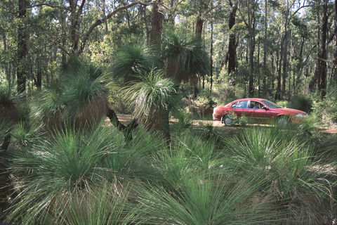 Bridgetown Jarrah Park - Accommodation Newcastle 0