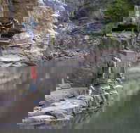 Butterfly Gorge Nature Park - Accommodation Newcastle