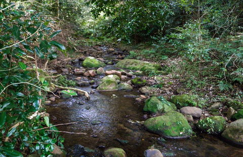 Cascades Picnic Area - Accommodation Newcastle 0