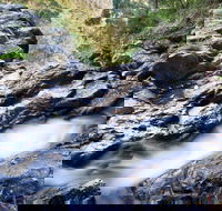 Casuarina Falls Circuit - Accommodation Newcastle