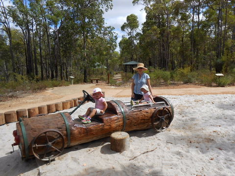 Crooked Brook Forest - Accommodation Newcastle 0