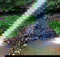Crystal Shower Falls Walk - Accommodation Newcastle