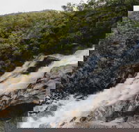 Davies Creek National Park and Dinden National Park - Accommodation Newcastle
