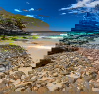 Dawsons Island Beach - Accommodation Newcastle