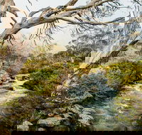 Dead Horse Gap walking track - Accommodation Newcastle