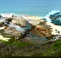 Diamond Head Loop Walk - Accommodation Newcastle