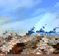 Dirk Hartog Island National Park - Accommodation Newcastle