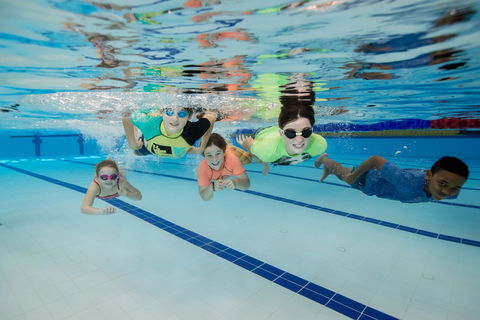 East Maitland Aquatic Centre - Accommodation Newcastle 1