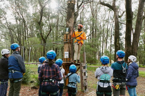 Forest Adventures South West - Accommodation Newcastle 0