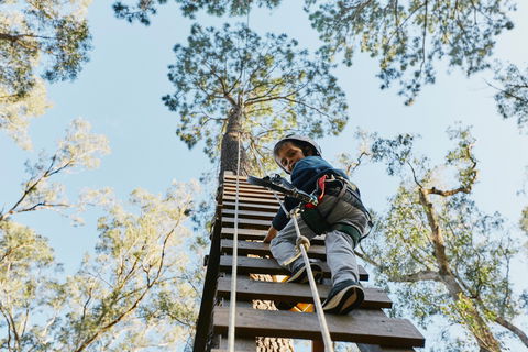 Forest Adventures South West - Accommodation Newcastle 1