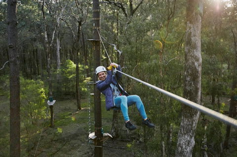 Forest Adventures South West - Accommodation Newcastle 2