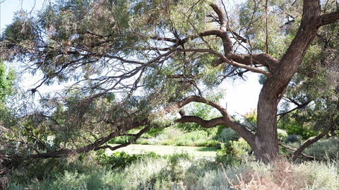 Gathercole Nature Reserve - Accommodation Newcastle 0