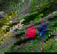 Grand Strzelecki Track - Accommodation Newcastle