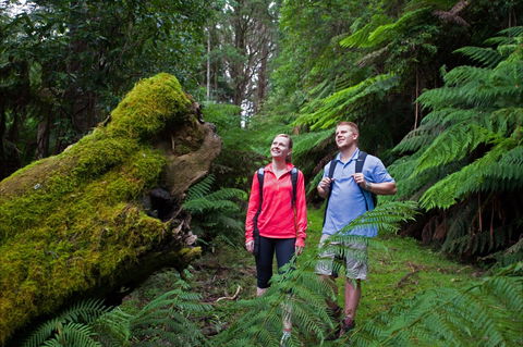 Grand Strzelecki Track - Accommodation Newcastle 0