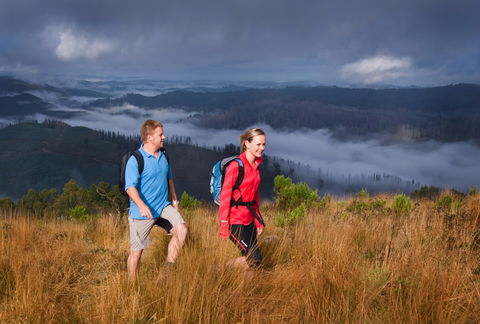 Grand Strzelecki Track - Accommodation Newcastle 1