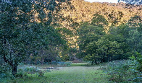 Griffins Walking Track - Accommodation Newcastle 0