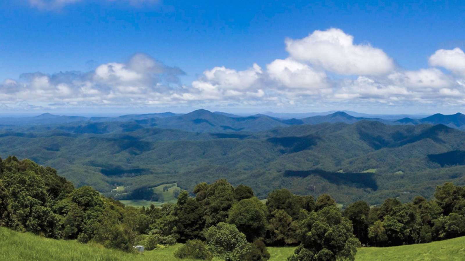 North Dorrigo NSW Accommodation Newcastle