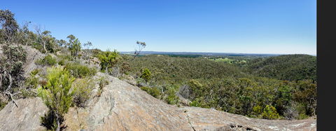 Hale Conservation Park - Accommodation Newcastle 0