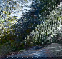 Hastings Forest Way Touring Route - Accommodation Newcastle