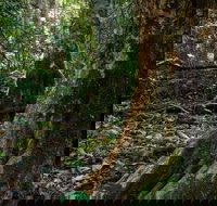 Hidden Treasure Track - Accommodation Newcastle