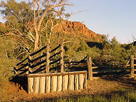 Illamurta Springs Conservation Reserve - Accommodation Newcastle 0