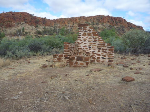 Illamurta Springs Conservation Reserve - Accommodation Newcastle 1
