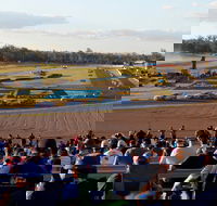 Ipswich Motorsport Precinct - Accommodation Newcastle