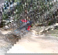 Jolly Nose Mountain Bike Park - Accommodation Newcastle