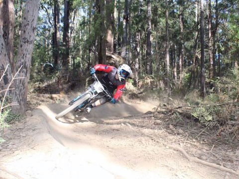 Jolly Nose Mountain Bike Park - Accommodation Newcastle 0
