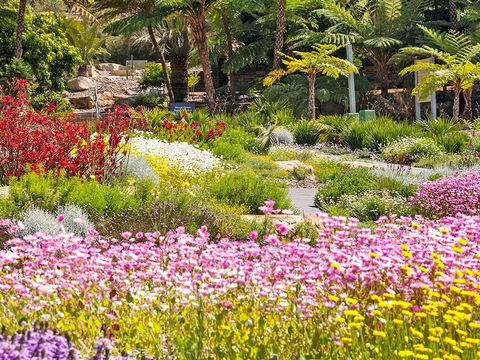 Jurassic Garden AR Experience - Accommodation Newcastle 0