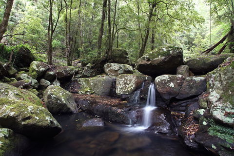 Kangaroo River - Accommodation Newcastle 0