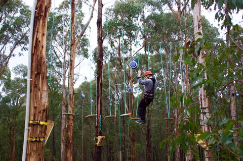 Kinglake Forest Adventures - Accommodation Newcastle 0