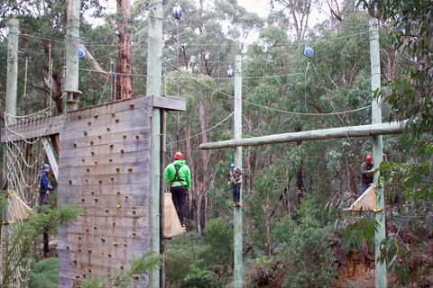 Kinglake Forest Adventures - Accommodation Newcastle 1