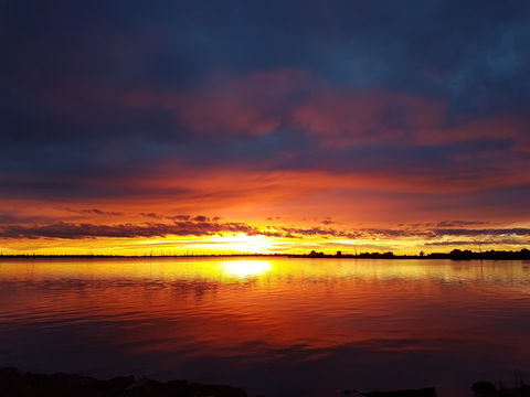 Lake Mulwala - Accommodation Newcastle 1