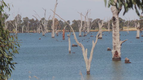 Lake Mulwala - Accommodation Newcastle 2